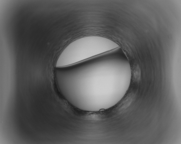 X0000102290620200807251002