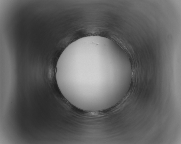 X0000102290623200807251002
