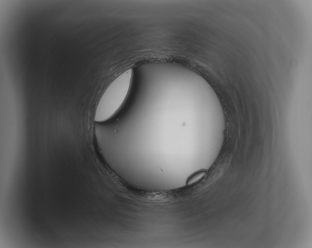 X0000102290624200807251002
