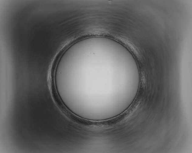 X0000102290630200807251002
