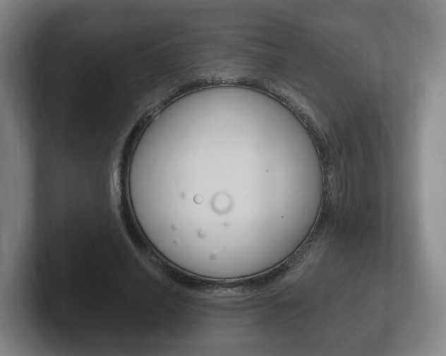 X0000102290638200807251002