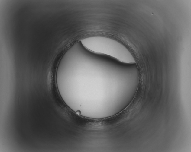 X0000102290639200807251002