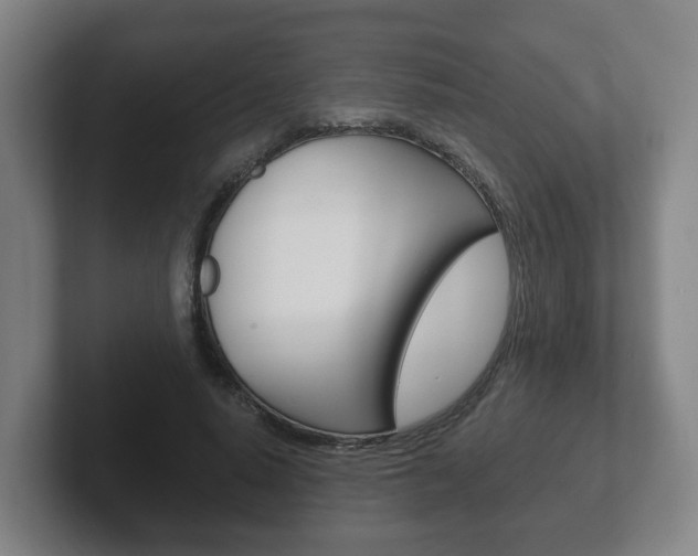 X0000102290640200807251002