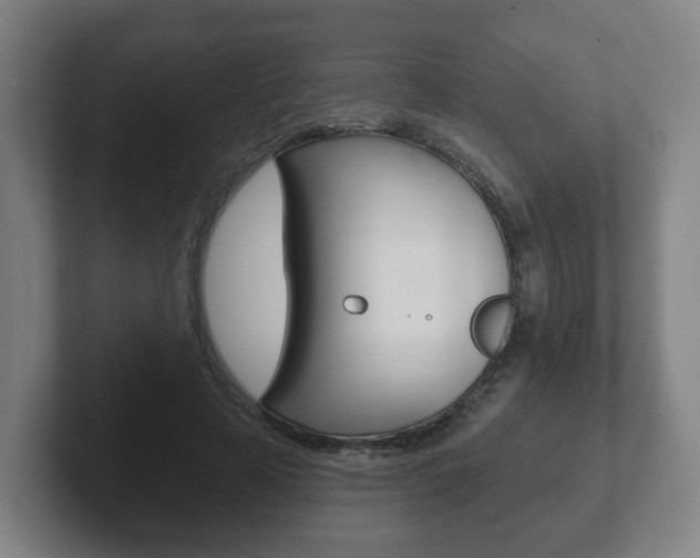 X0000102290641200807251002