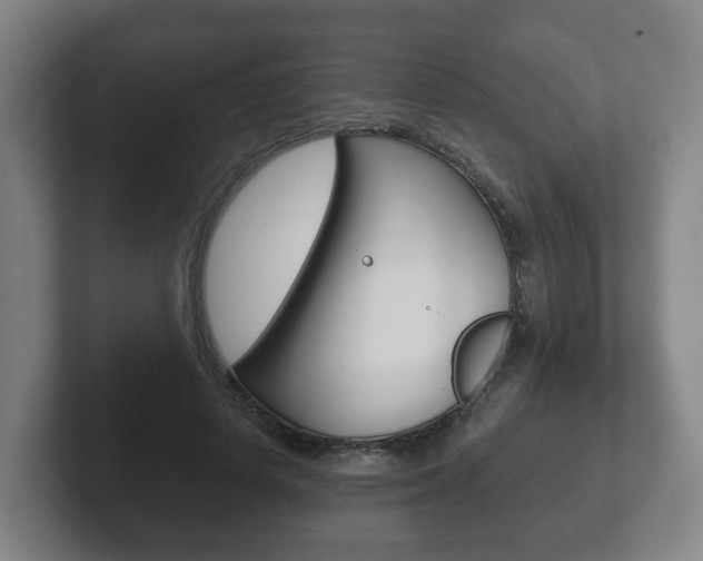 X0000102290642200807251002