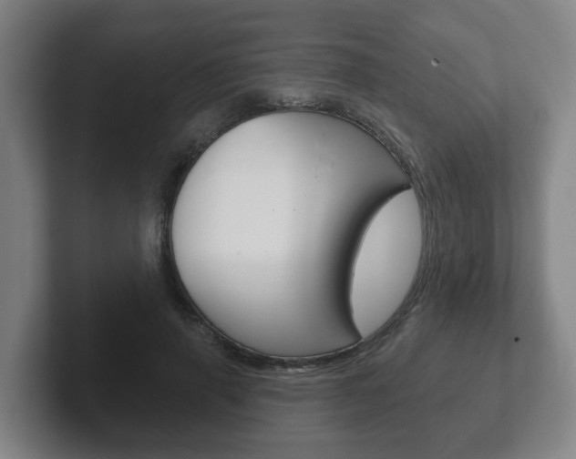 X0000102290645200807251002