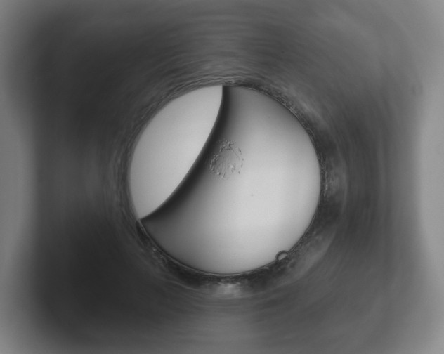 X0000102290647200807251002