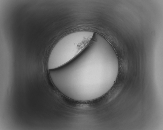 X0000102290649200807251002