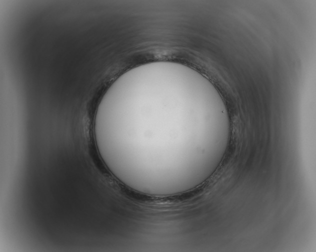 X0000102290650200807251002