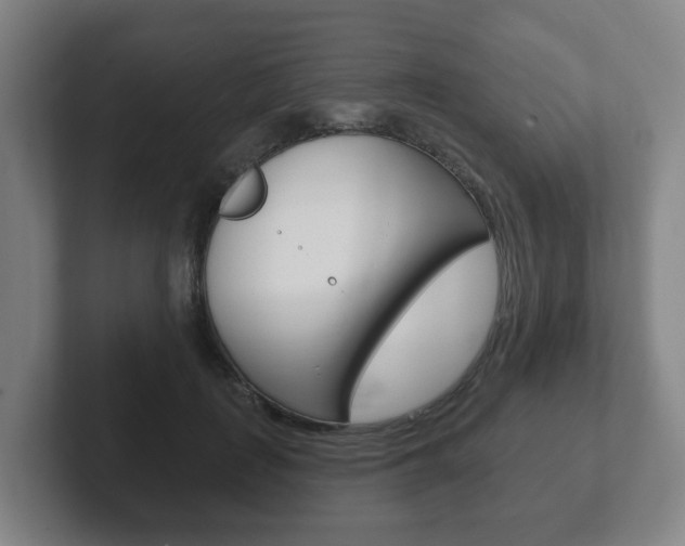 X0000102290651200807251002