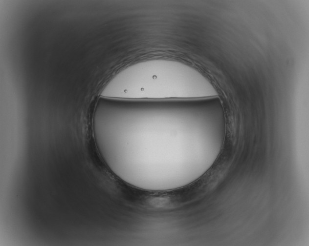 X0000102290653200807251002