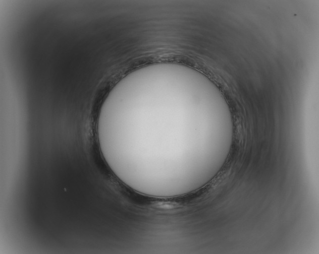 X0000102290654200807251002