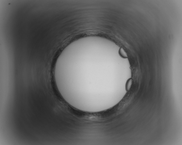 X0000102290655200807251002