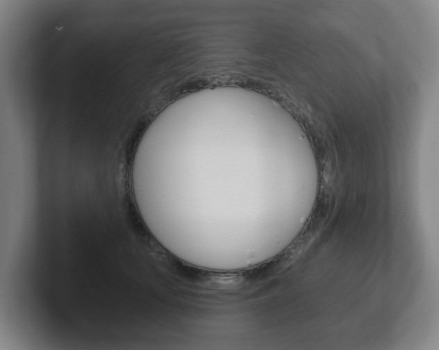X0000102290659200807251002