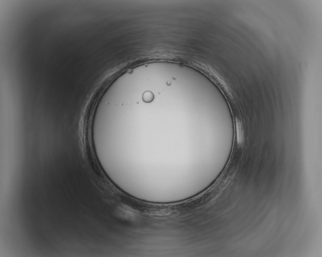 X0000102290675200807251002