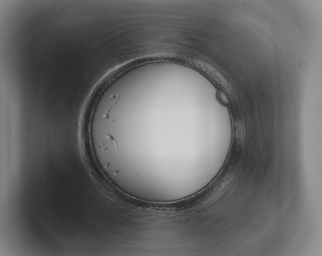 X0000102290676200807251002