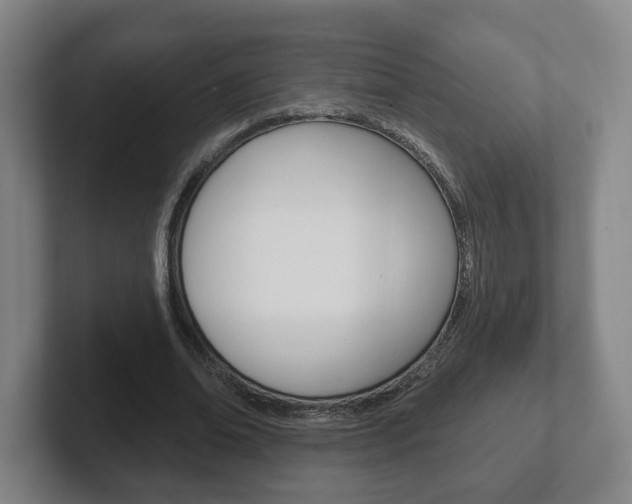 X0000102290678200807251002