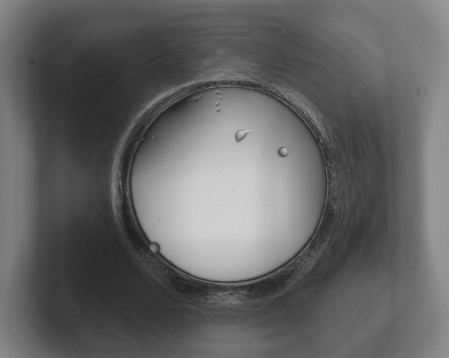 X0000102290680200807251001