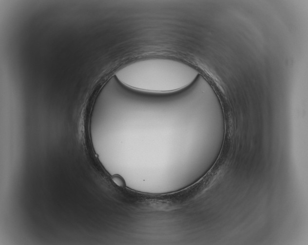 X0000102290681200807251001