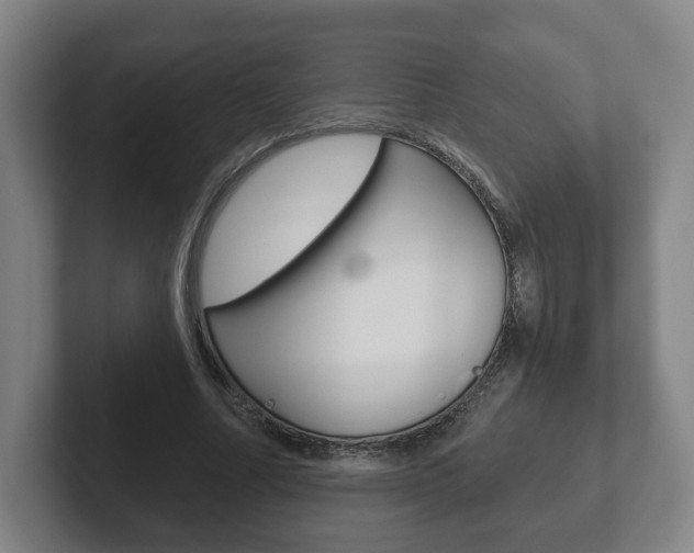 X0000102290682200807251001