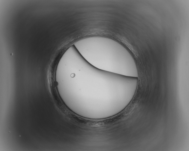 X0000102290683200807251001