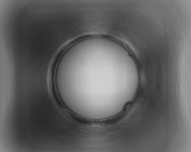 X0000102290684200807251001