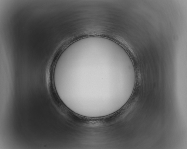 X0000102290686200807251001