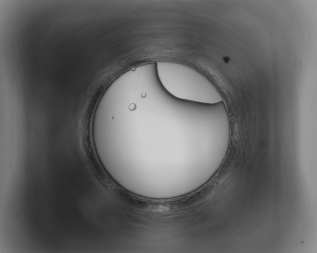 X0000102290687200807251001