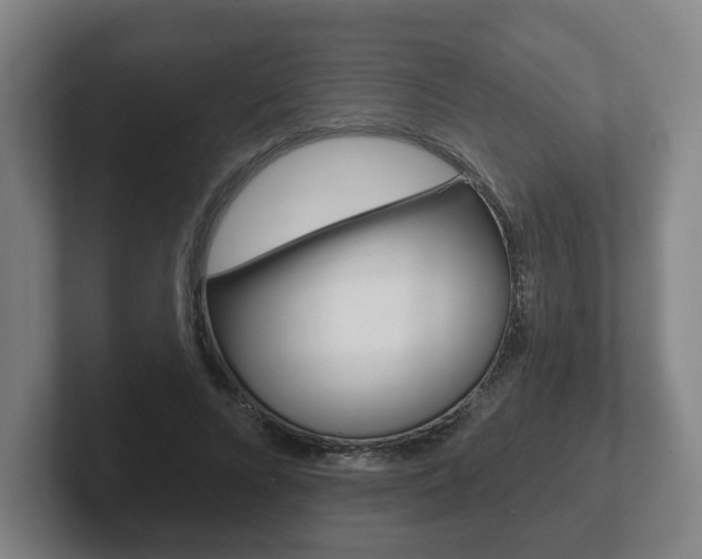 X0000102290688200807251001