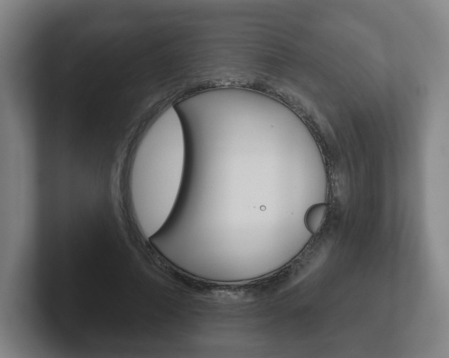 X0000102290690200807251001