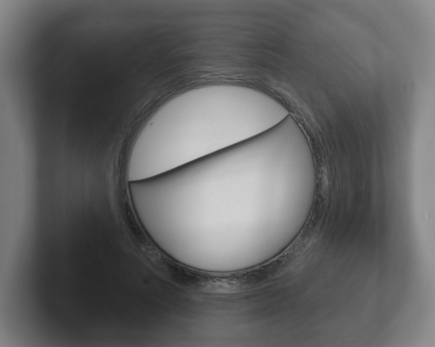 X0000102290691200807251001