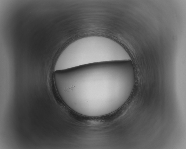 X0000102290693200807251001