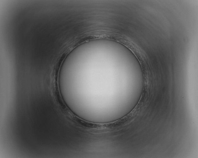 X0000102290696200807251001
