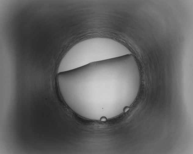 X0000102290697200807251001