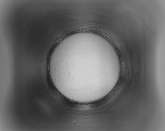 X0000102290698200807251001