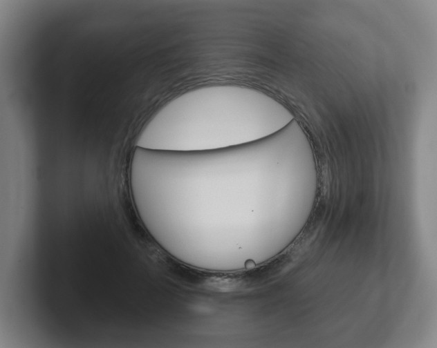 X0000102290699200807251001