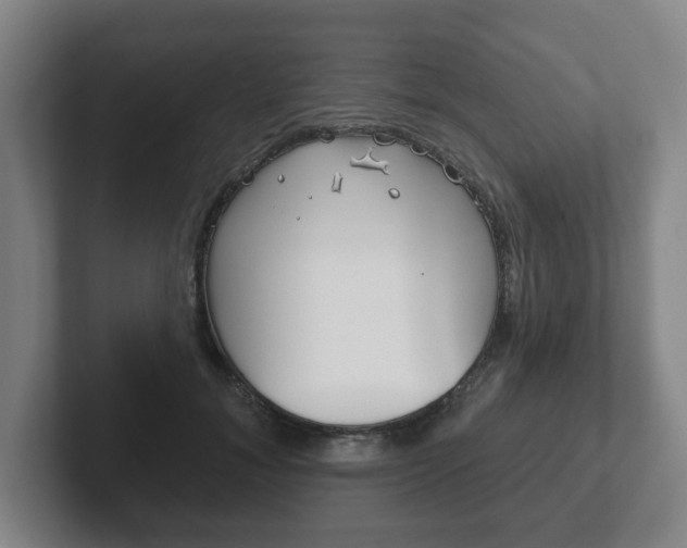 X0000102290700200807251001