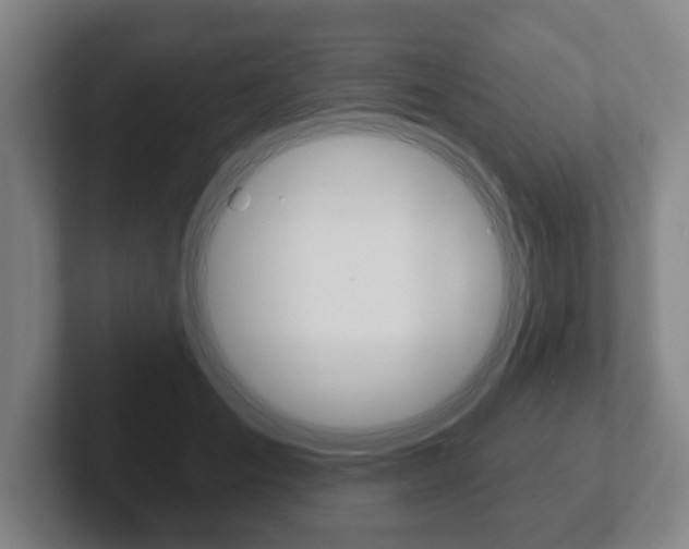 X0000102290701200807251001