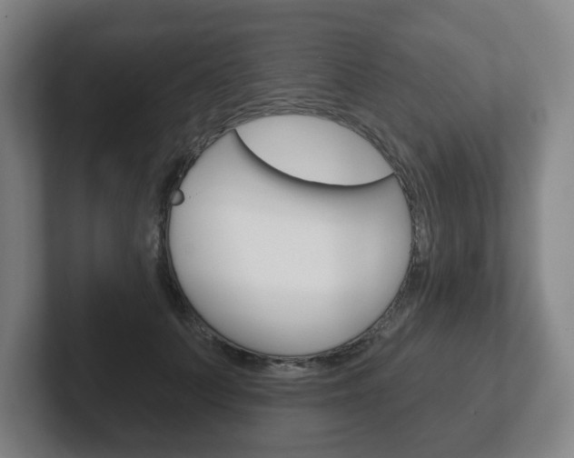 X0000102290703200807251001