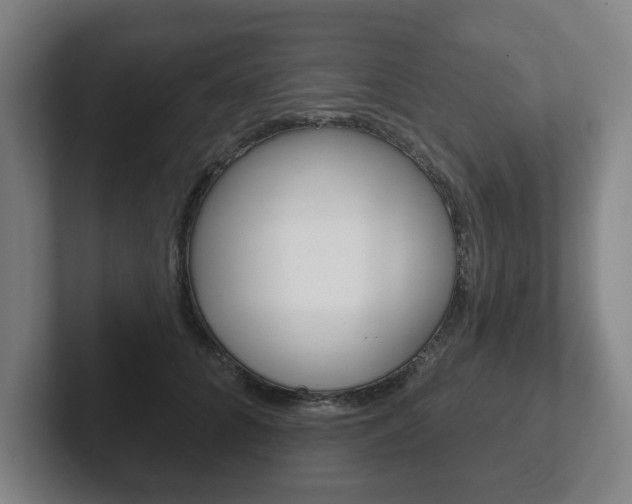 X0000102290704200807251001