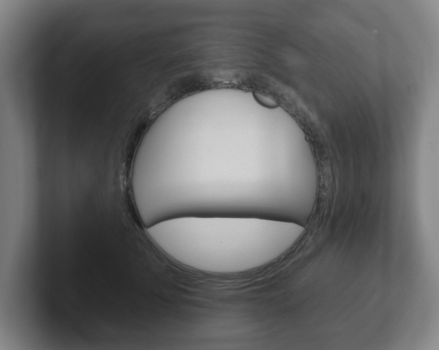 X0000102290707200807251001
