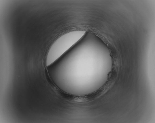 X0000102290708200807251001