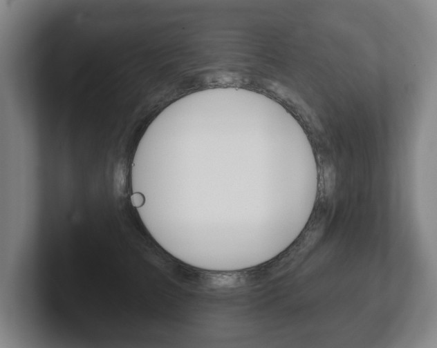 X0000102290709200807251001