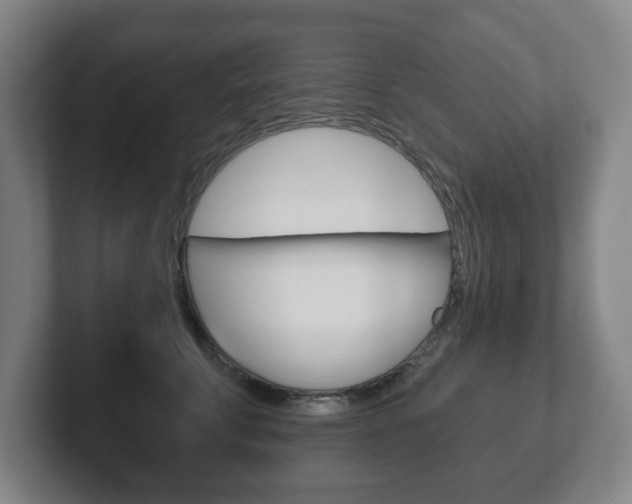 X0000102290711200807251001