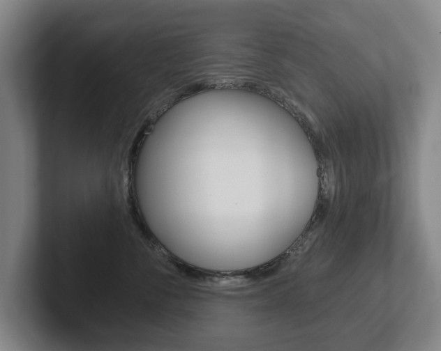 X0000102290716200807251001