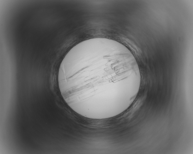 X0000102290717200807251001