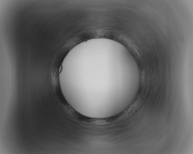 X0000102290719200807251001
