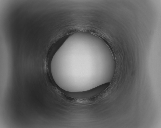 X0000102290720200807251001