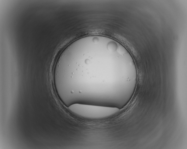X0000102290721200807251000