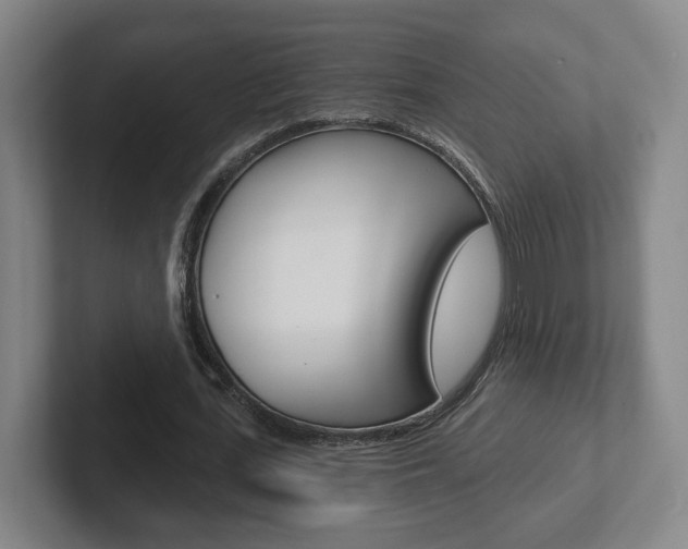 X0000102290723200807251000